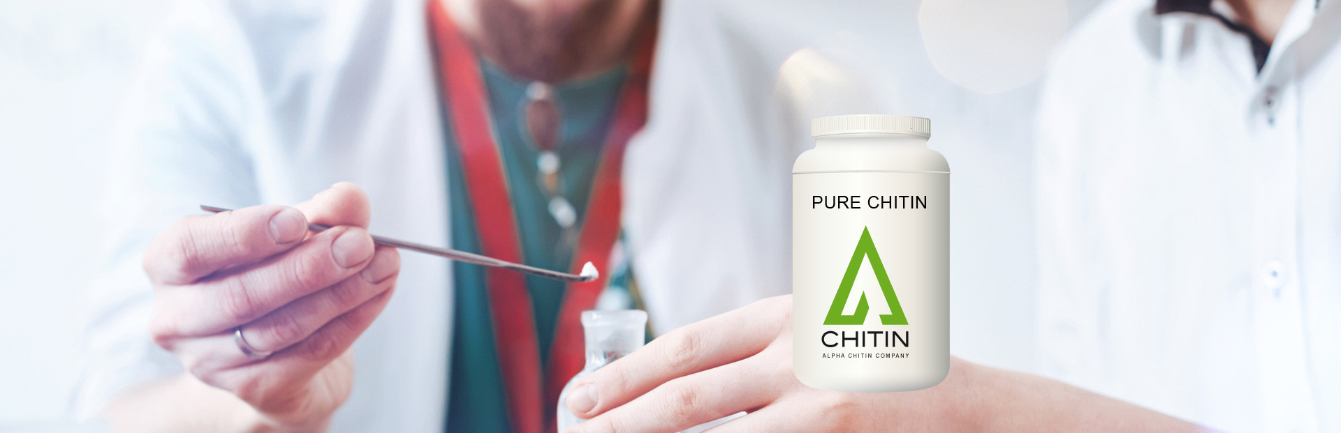 Alpha-Chitin Chitine Chitosan